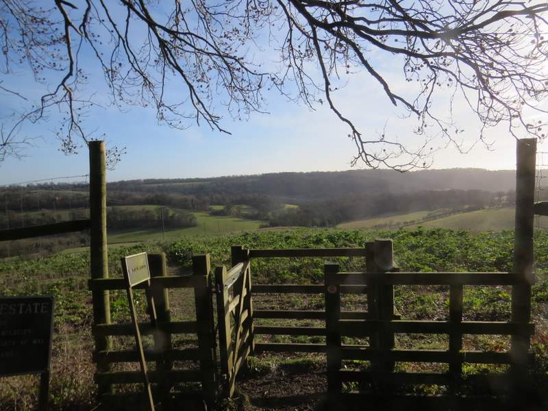 Pete's Walks Cowleaze Wood, Studdridge Farm, Christmas Common (page 1